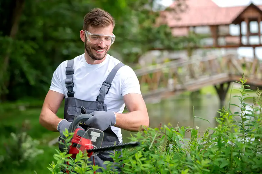 Professional Bush Trimming in Abilene, TX Professional Bush Trimming in Abilene, TX