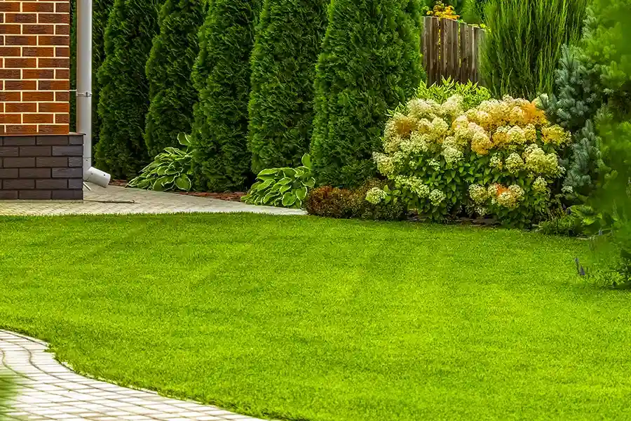 Reliable Lawn Care Abilene, TX
