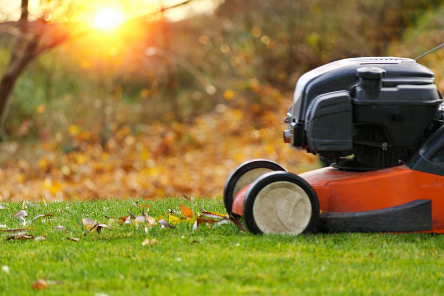 Top Lawn Care Trends Shaping The Landscaping Industry in Abilene, TX