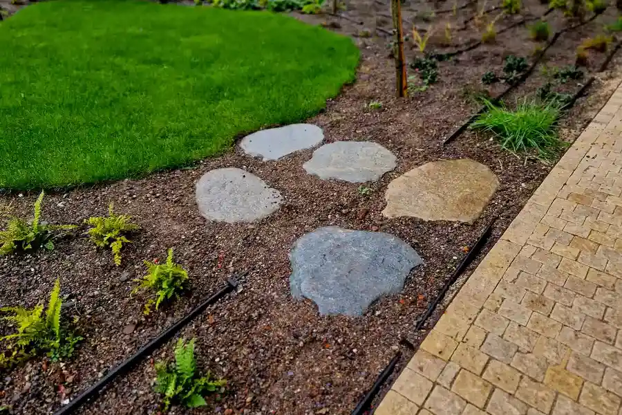 Top-rated Mulching Abilene, TX