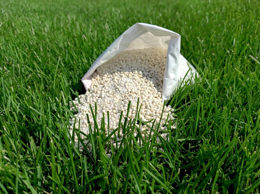 Professional Lawn & Landscape Services – Park Central, Abilene, TX 79606 Lawn & Landscape Services – Park Central, Abilene, TX 79606