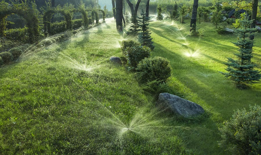 Reliable Landscape Maintenance – Park Central Area, Abilene, TX 79606 Landscape Maintenance – Park Central Area, Abilene, TX 79606