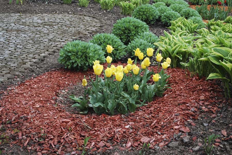 Expert Landscape Mulching services in Far Southside, Abilene, TX 79606, providing installation and maintenance to keep outdoor spaces tidy and vibrant.