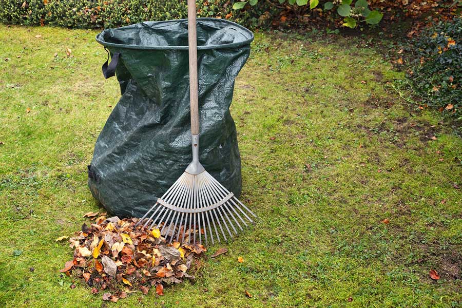 Yard Cleanup – Chimney Rock Area, Abilene, TX 79606